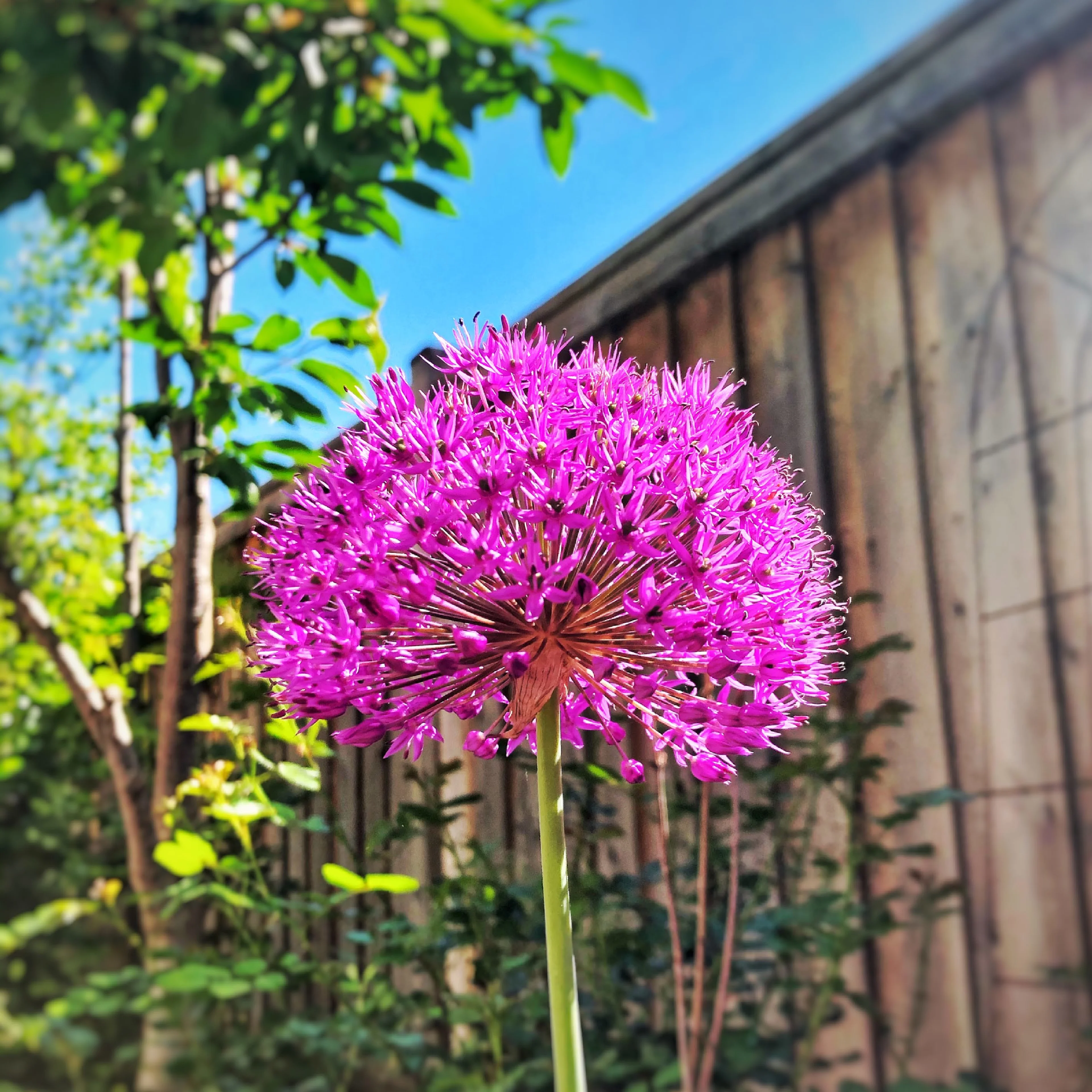 uajjsxu5tc9vysn2zvht