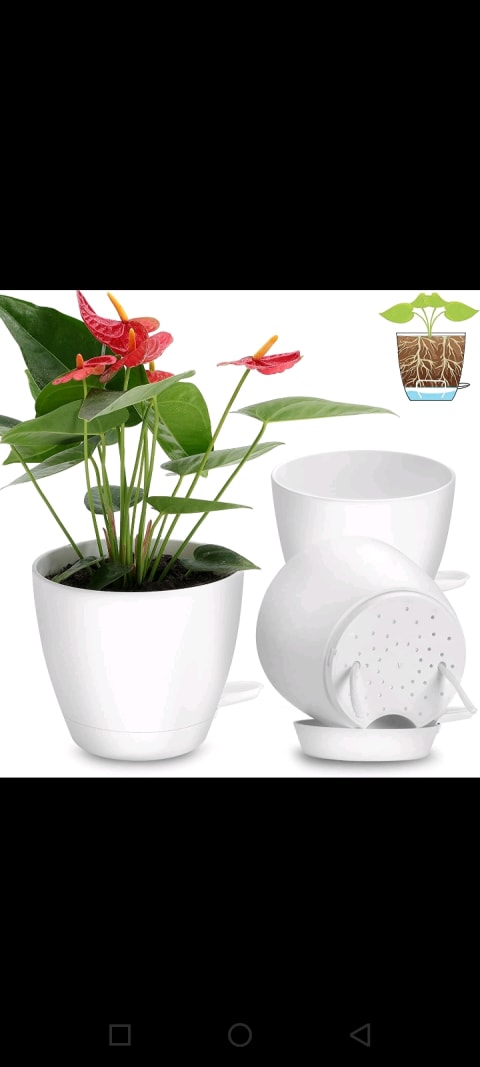 Pot de fleur