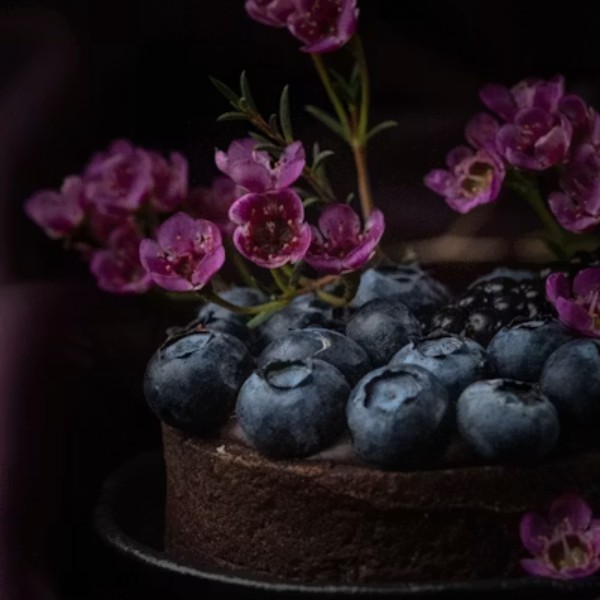 Midnight Blueberry Chocolate Cake