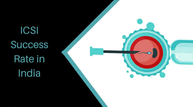 What Is ICSI Treatment And ICSI Success Rate In India What Is ICSI Treatment And ICSI Success Rate In India