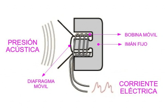 Funcionamiento de un transductor electromagnético
