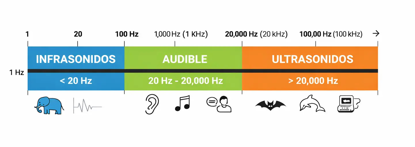 Gráfico con las ondas infrasónicas, ondas audibles y ondas ultrasónicas