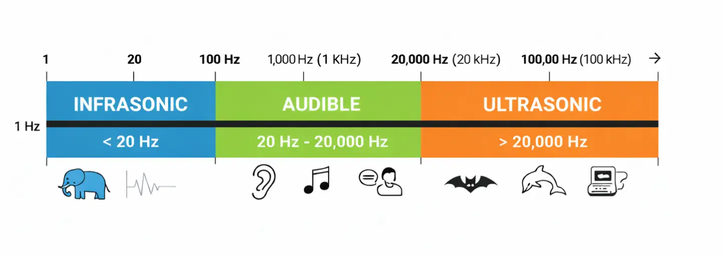 Graph showing infrasonic waves, audible waves, and ultrasonic waves