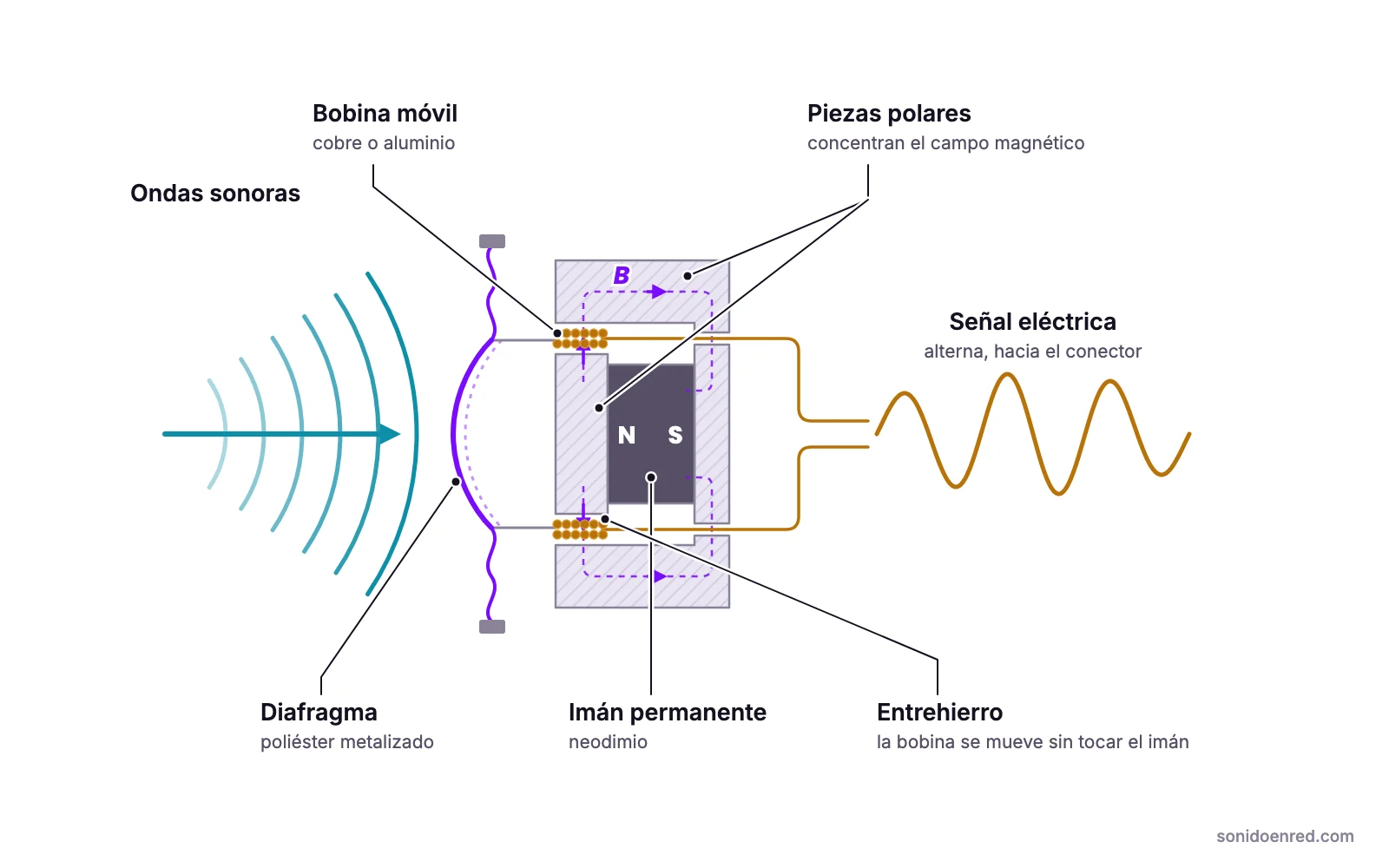 Diagrama en corte de un micrófono dinámico de bobina móvil: las ondas sonoras mueven el diafragma, la bobina unida a él vibra en el entrehierro del imán permanente de neodimio y la inducción electromagnética genera una señal eléctrica alterna.
