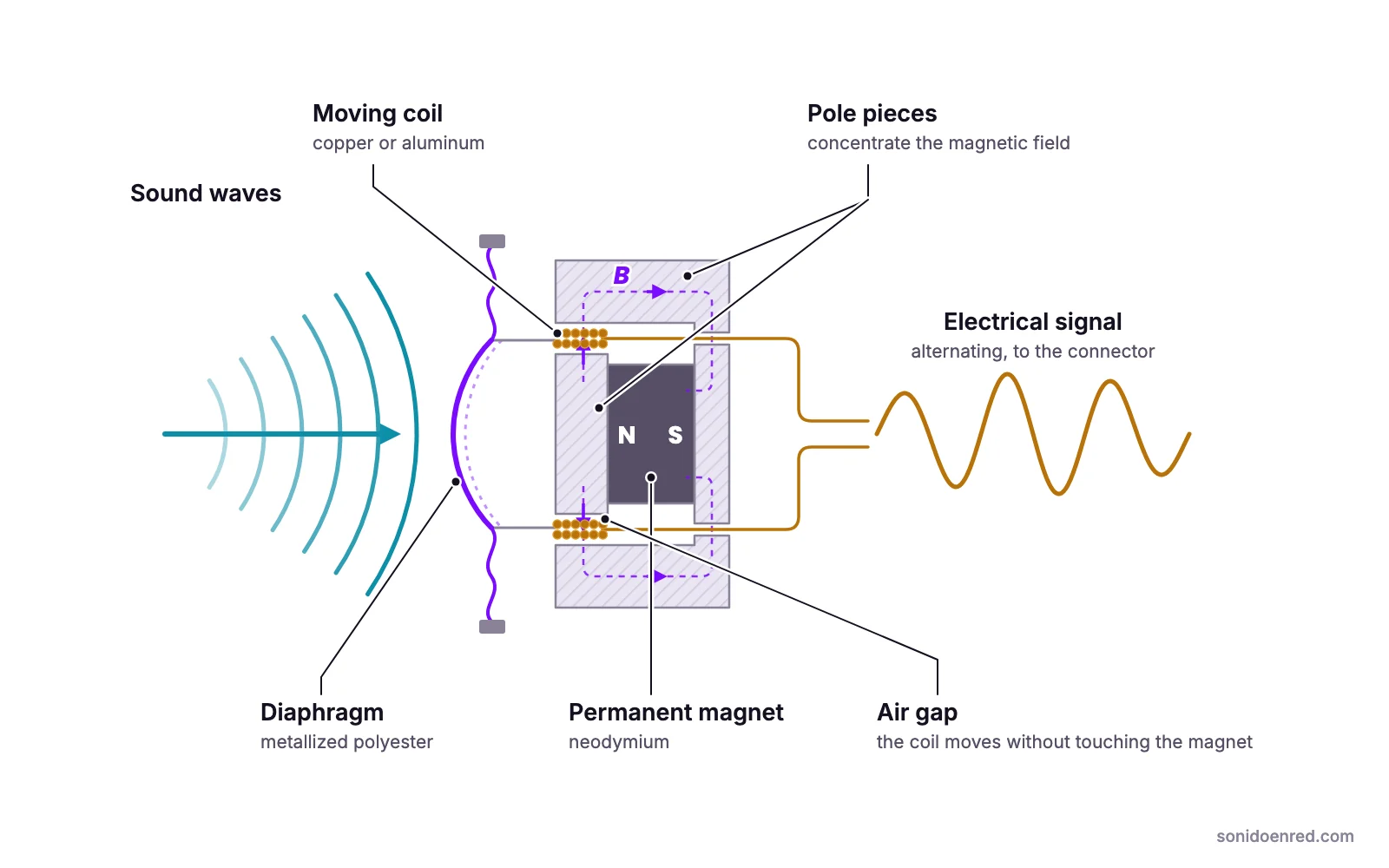 Cross-section diagram of a moving-coil dynamic microphone: sound waves move the diaphragm, the attached coil vibrates in the air gap of the neodymium permanent magnet, and electromagnetic induction produces an alternating electrical signal.