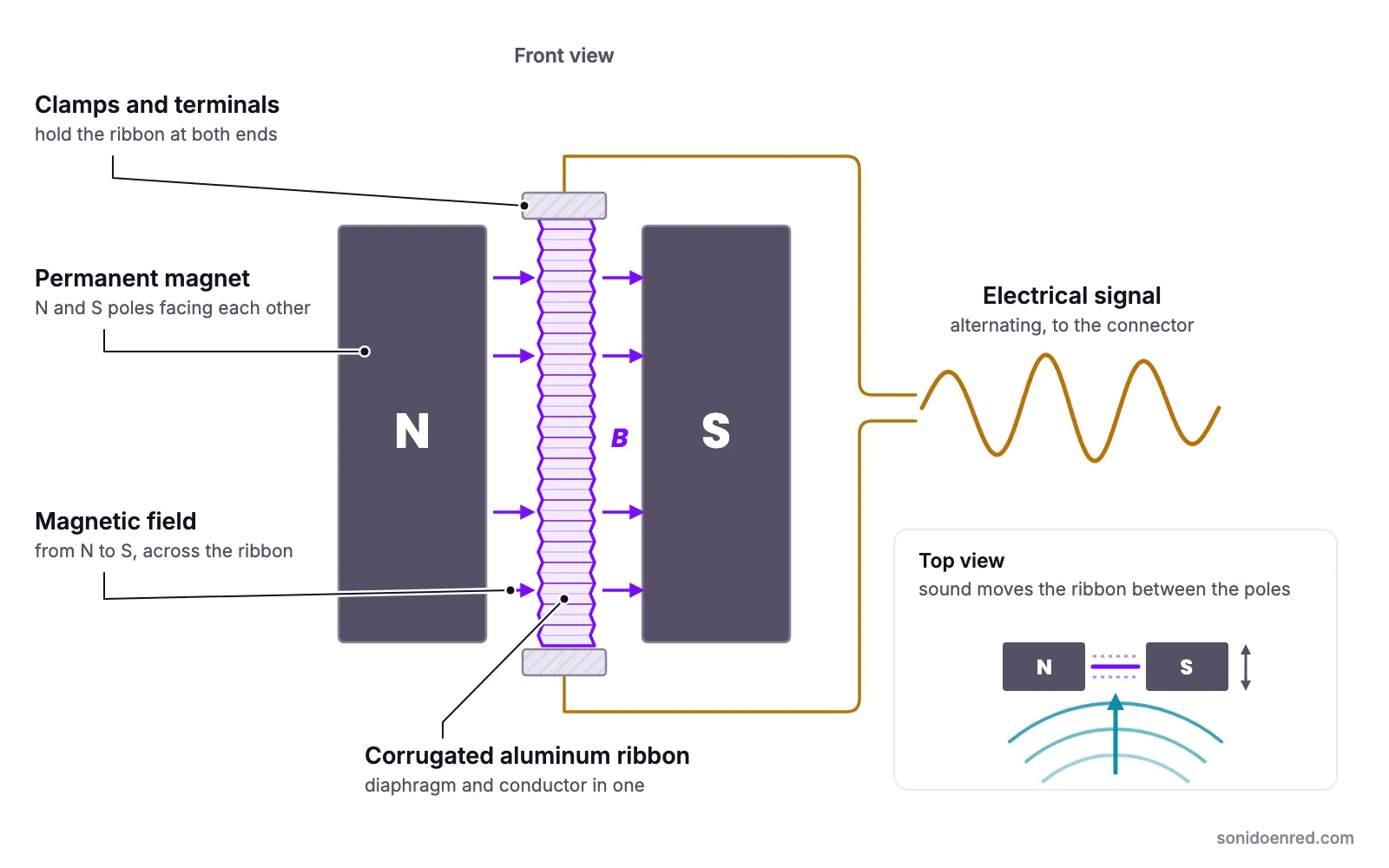 Ribbon microphone diagram: a corrugated aluminum ribbon, clamped at both ends between the north and south poles of a magnet, vibrates with sound inside the magnetic field and generates an alternating electrical signal on its own.