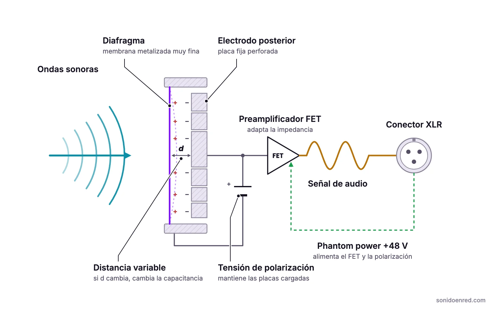 Diagrama de un micrófono de condensador: el sonido mueve un diafragma metalizado situado frente a un electrodo posterior fijo; la variación de distancia entre las placas cargadas cambia la capacitancia, y un preamplificador FET alimentado por phantom power de +48 V envía la señal al conector XLR.