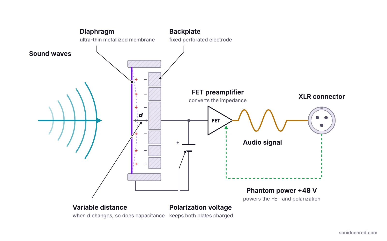 Condenser microphone diagram: sound moves a metallized diaphragm in front of a fixed backplate; the changing distance between the charged plates alters the capacitance, and a FET preamplifier powered by +48 V phantom power sends the signal to the XLR connector.