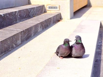 Гормональная терапия может замедлить старение у женщин после менопаузы