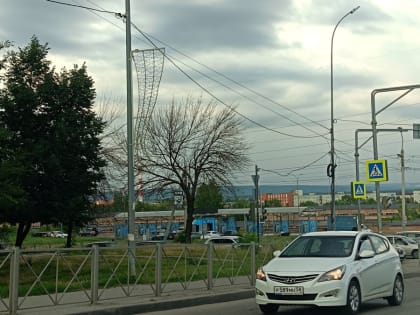 Очистка улиц Пензы от засохших деревьев