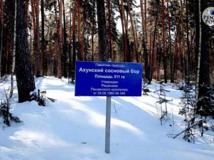 В Пензенской области наблюдают за санитарным состоянием лесов