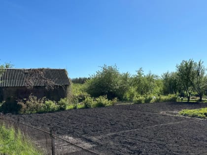 Уже решили: за картошку на даче будут штрафовать: россияне обомлели от нового правила с 9 июня