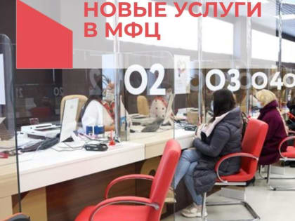 НОВЫЕ УСЛУГИ ФЕДЕРАЛЬНОЙ НАЛОГОВОЙ СЛУЖБЫ