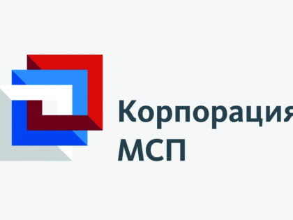 Поддержка малого и среднего бизнеса в Пензенской области