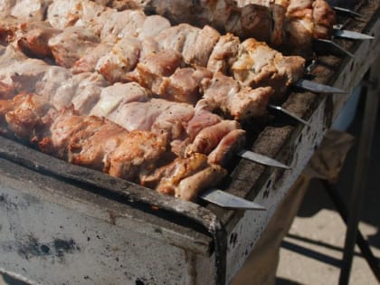 Врач-инфекционист Джамиля Курмаева рассказала, чем опасен шашлык с «кровинкой»