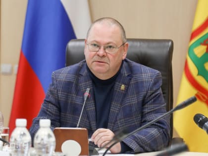 Олег Мельниченко взял на личный контроль два ЧП из-за непогоды в Пензе