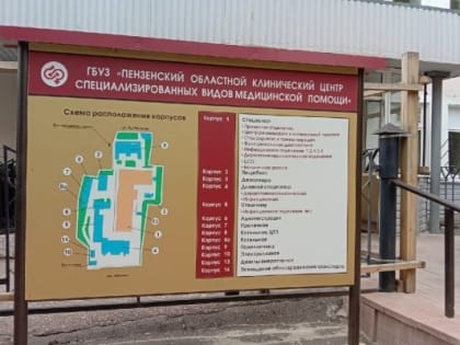 В Пензенской области за неделю выявили 258 случаев COVID-19