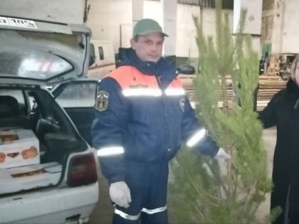 Новогодние ели развозят по учреждениям образования Токмакского округа