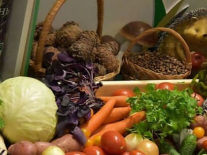 Стало известно, где в Пензе проходят сезонные ярмарки