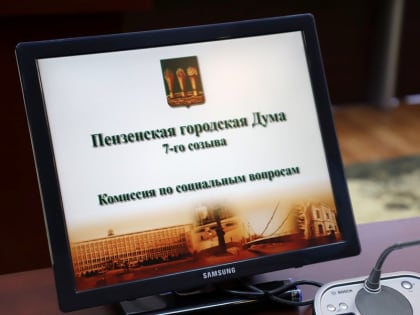 В городской Думе состоялось заседание комиссии по социальным вопросам