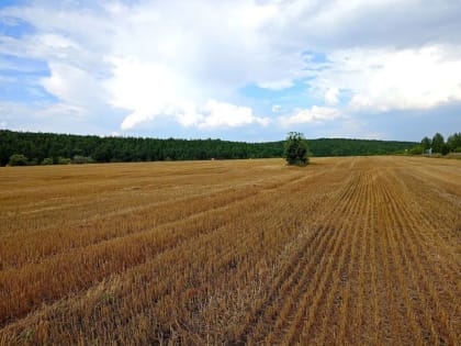 Губернатор выехал в районы оценить работу аграриев