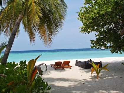 Пензенский Роспотребнадзор дал рекомендации выезжающим в тропические страны