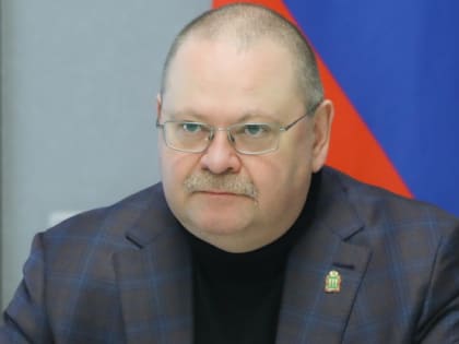 Мельниченко отметил эффективность мер господдержки бизнеса в регионе за 2024 год