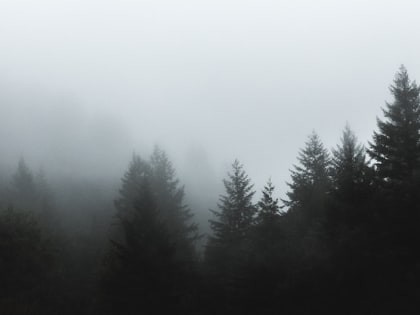 Туман и ясная погода: прогноз для Пензы