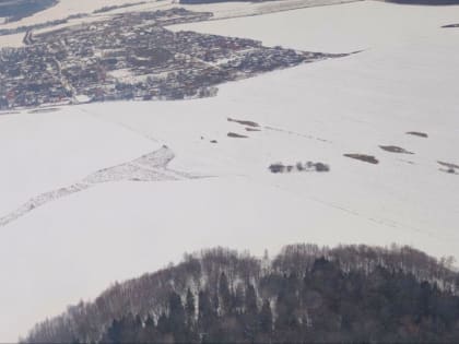 Пензенские аграрии получат субсидии на сумму 677,9 млн рублей