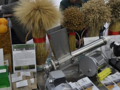 В Пензе назначили дату проведения Аграрного форума