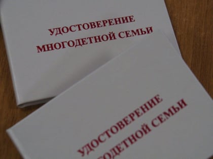 В Пензенской области 2,5 тысячи многодетных семей оформили удостоверение