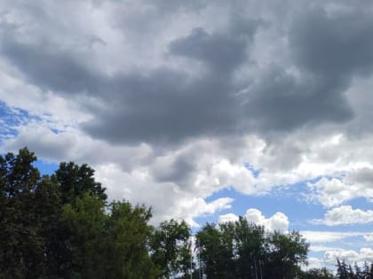 Ночью в Пензенской области снова ожидаются заморозки