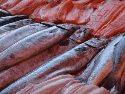 В этой рыбе, которую едят абсолютно все, нашли запредельное количество ртути: гробит организм