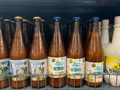 Пензенские врачи рассказали о целебных и полезных свойствах кумыса