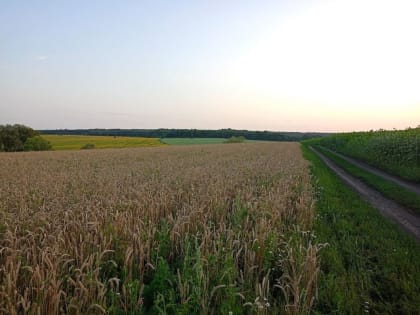 Пензенская область готовится к уборочной кампании