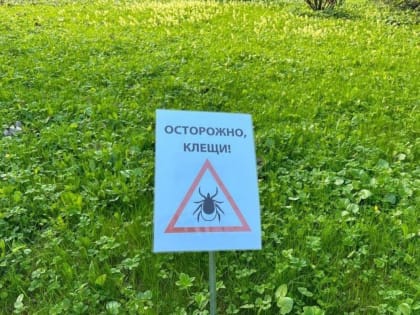 В Пензенской области от укусов клещей пострадали 710 человек