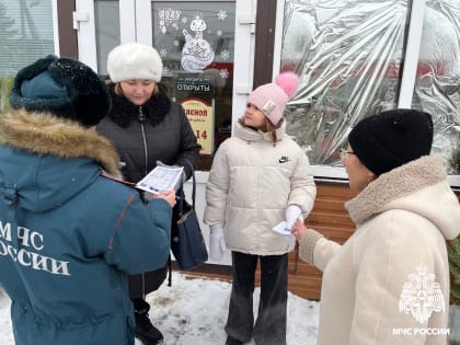 Сотрудники госпожнадзора проводят профилактические рейды