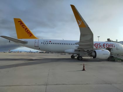 Пензенским туристам рекомндуют привиться от желтой лихорадки