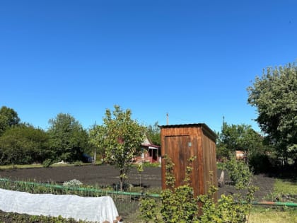 Указ подписали: за картошку на даче будут штрафовать: россияне обомлели от нового правила с 10 июня