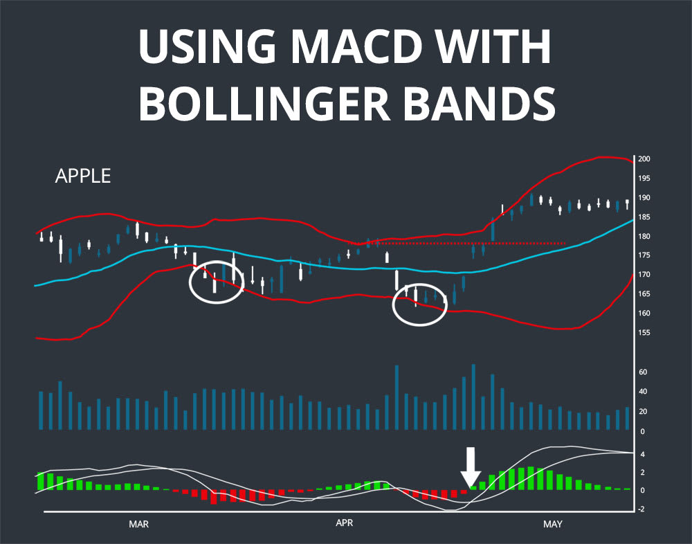 bollinger band w-bottom