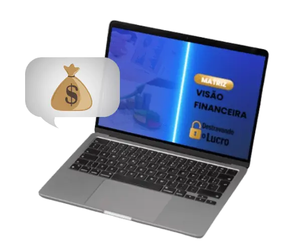 Matriz Visão Financeira para diagnóstico do negócio