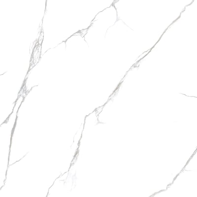 https://res.cloudinary.com/dtgdbkd79/image/upload/v1733900950/jkqrttcbxxkl8vmxmau3.jpg