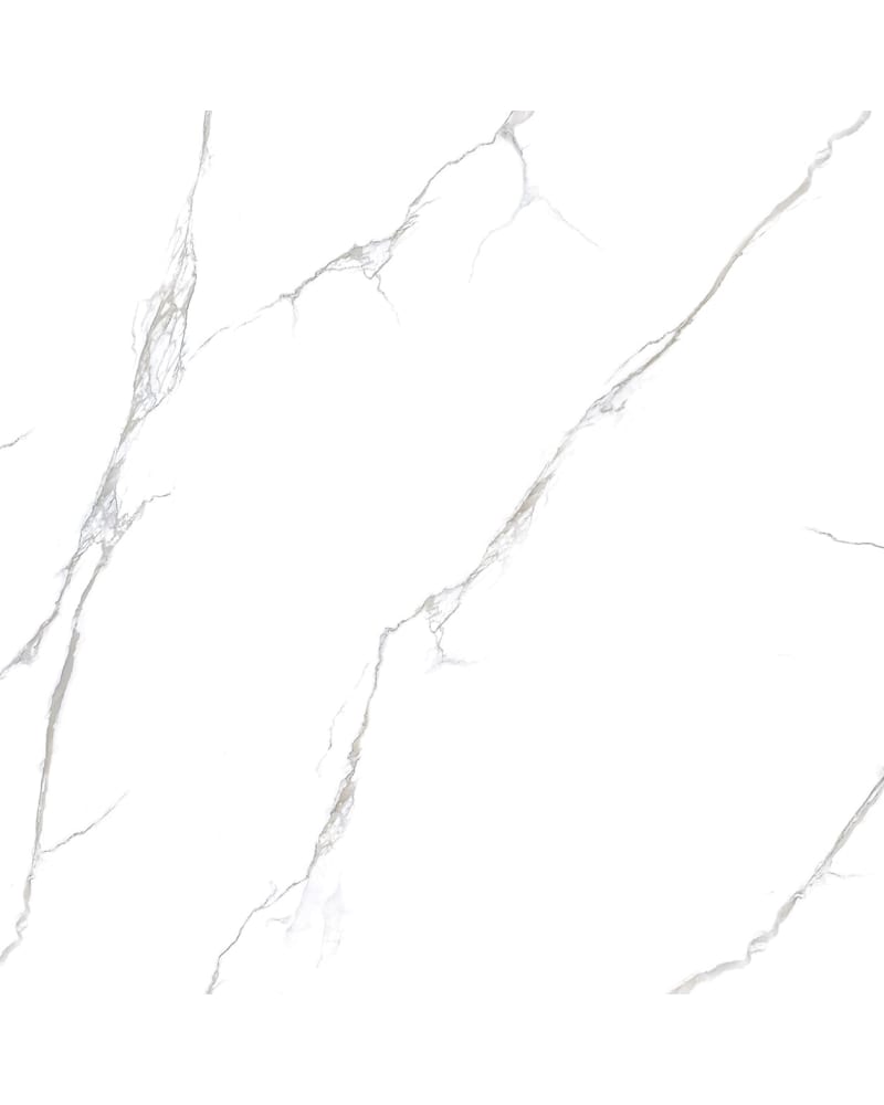 https://res.cloudinary.com/dtgdbkd79/image/upload/v1733900952/j8gpcpnqa0ubexujvjua.jpg