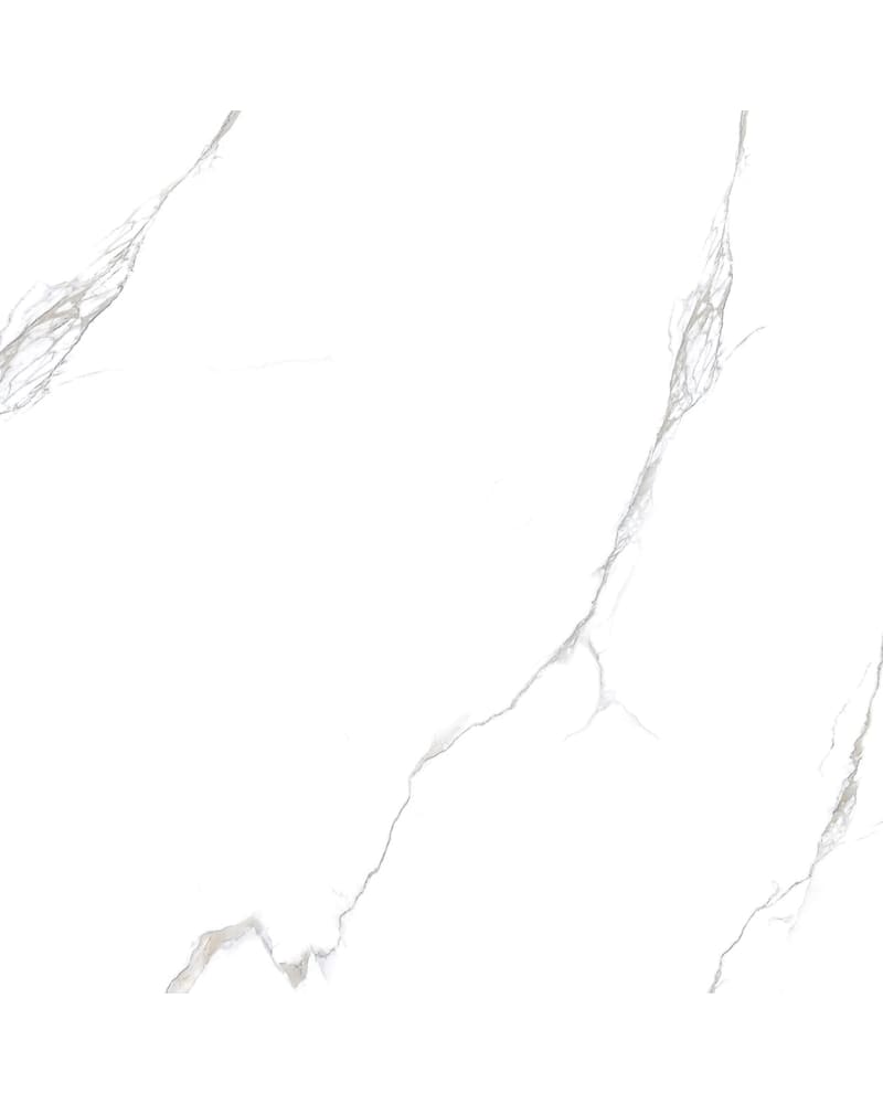 https://res.cloudinary.com/dtgdbkd79/image/upload/v1733900963/jjvcstecizg4xzfaufkt.jpg