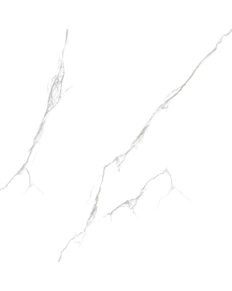 https://res.cloudinary.com/dtgdbkd79/image/upload/v1733900966/f2hofsiq3yoic8dhfos2.jpg
