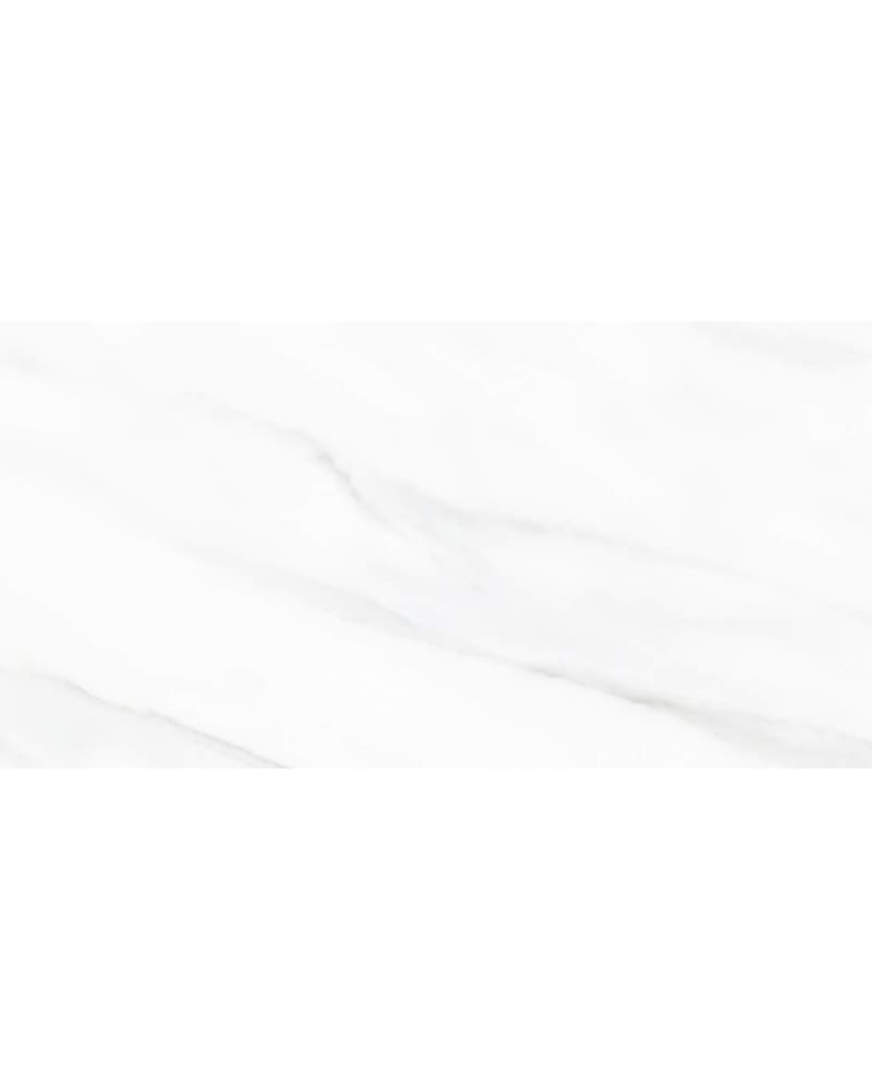 https://res.cloudinary.com/dtgdbkd79/image/upload/v1735792840/sebsnwdp5c2shnvzujcl.jpg