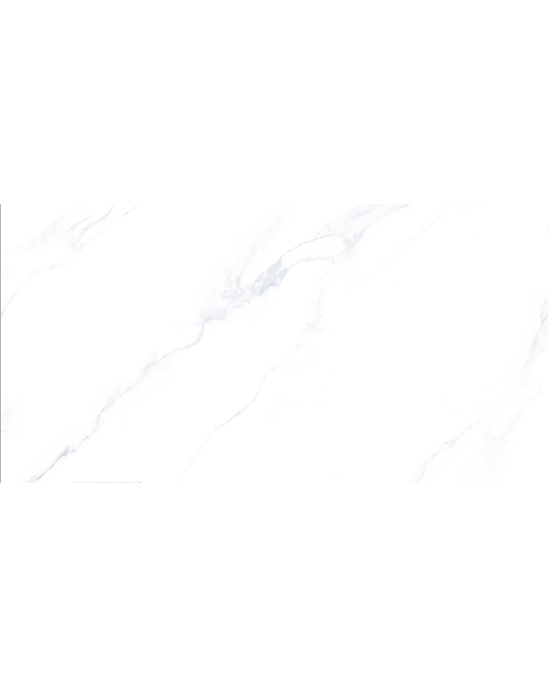https://res.cloudinary.com/dtgdbkd79/image/upload/v1736558623/fs93cpncckhxkxybba5i.jpg