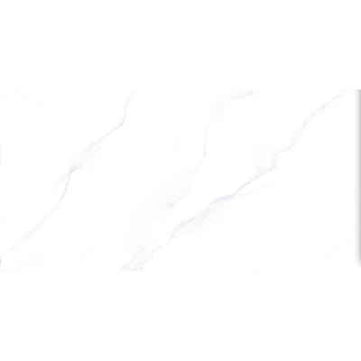 https://res.cloudinary.com/dtgdbkd79/image/upload/v1736558628/oevhtkzkxesymog10xmh.jpg
