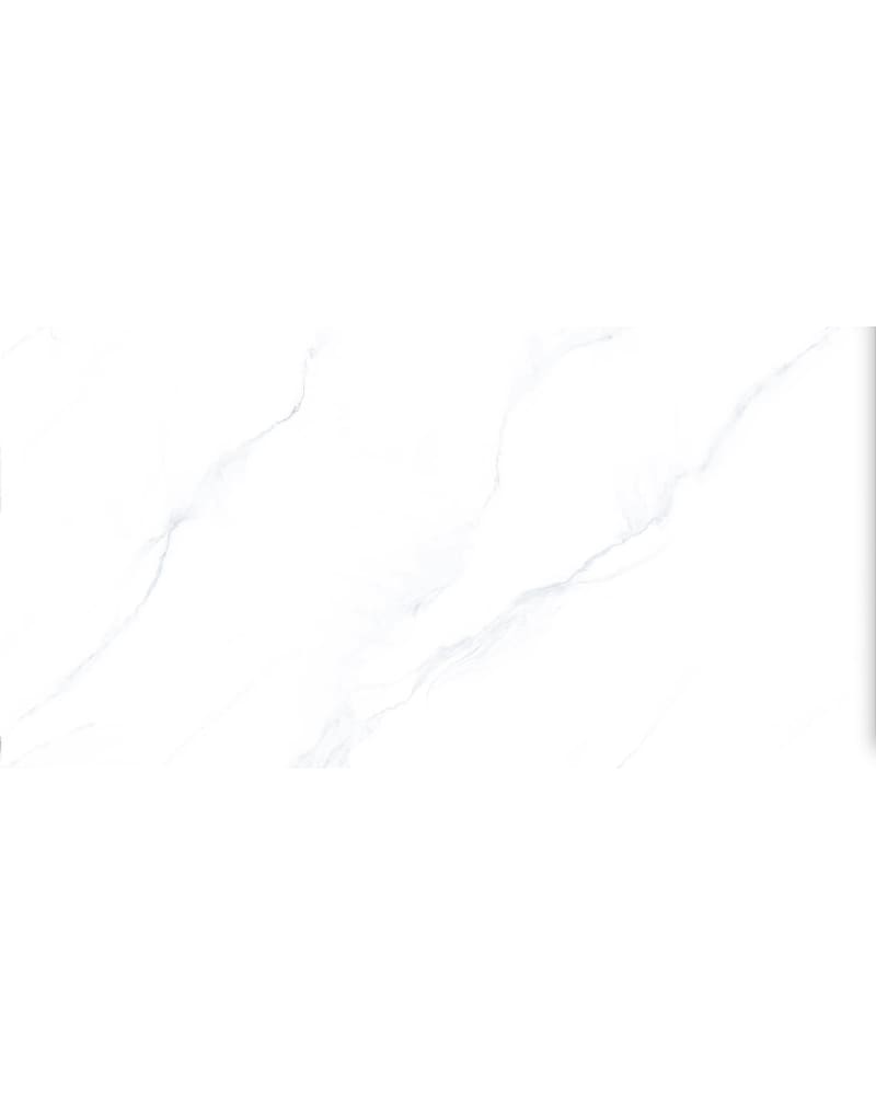https://res.cloudinary.com/dtgdbkd79/image/upload/v1736558630/cojeyitw8vmmtbsamqaq.jpg