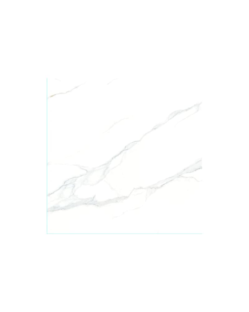 https://res.cloudinary.com/dtgdbkd79/image/upload/v1744860462/frxqwjkycmbirmmbgy1o.jpg